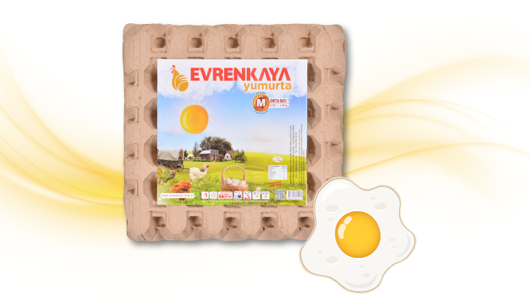 Adsız tasarım (24)