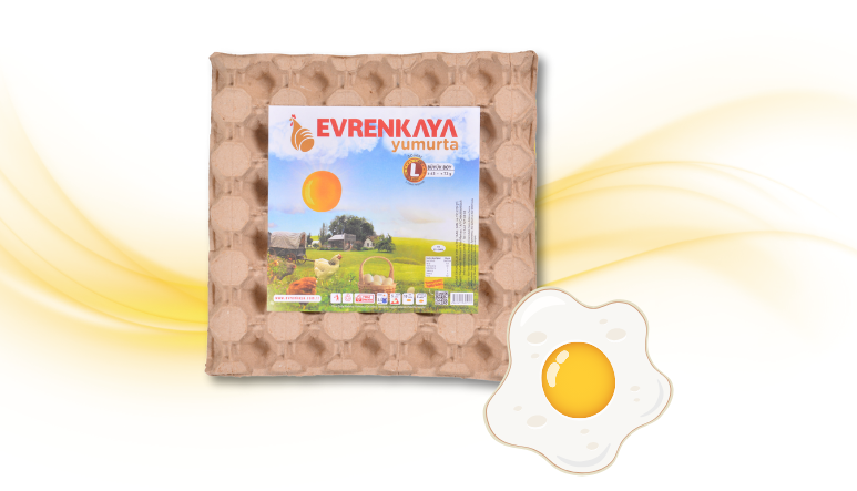 Adsız tasarım (25)