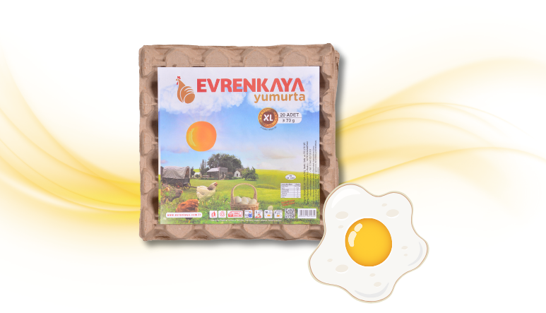 Adsız tasarım (26)