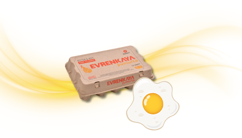 Adsız tasarım (27)