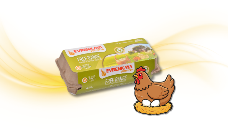 Adsız tasarım (28)