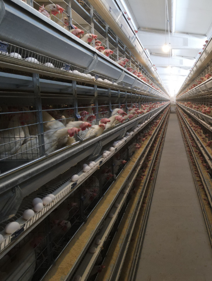 Adsız tasarım (47)